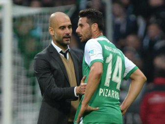 Arbeiteten einst beim FC Bayern zusammen: Pep Guardiola (l) und Werder-Angreifer Claudio Pizarro. Foto: dpa Arbeiteten einst beim FC Bayern zusammen: Pep Guardiola (l) und Werder-Angreifer Claudio Pizarro. Foto: dpa