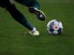 Sportanwalt Schickhardt zu Fußball in Krisenzeit