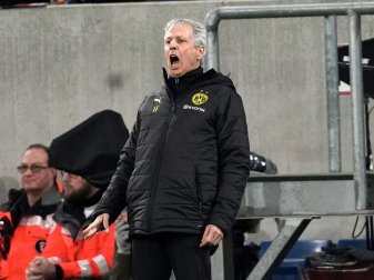 Favre: "Immer bereit sein zu lernen" Favre: "Immer bereit sein zu lernen"