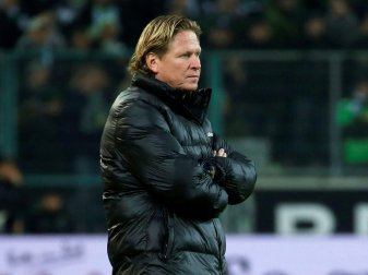 Gisdol: Spiele wären ein Schritt Richtung Normalität Gisdol: Spiele wären ein Schritt Richtung Normalität