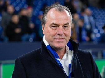 Will der DFL beim Durchführen von Corona-Tests helfen: Schalke-Boss Clemens Tönnies. Foto: Guido Kirchner/dpa Will der DFL beim Durchführen von Corona-Tests helfen: Schalke-Boss Clemens Tönnies. Foto: Guido Kirchner/dpa