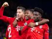 Fühlt sich wohl in Bayerns Star-Ensample: Alphonso Davies (r). Foto: Sven Hoppe/dpa