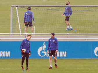 Schalke ist wieder ins Mannschaftstraining eingestiegen Schalke ist wieder ins Mannschaftstraining eingestiegen