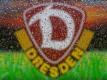 Dynamo Dresden wehrt sich gegen einen Streik-Bericht. Foto: Robert Michael/dpa-Zentralbild/dpa