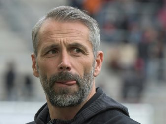 Marco Rose rechnet mit einfallsreichen Torjubeln Marco Rose rechnet mit einfallsreichen Torjubeln