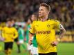 Droht das vorzeitige Saison-Aus: BVB-Kapitän Marco Reus. Foto: Marius Becker/dpa