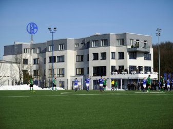 Spielern der S04-Nachwuchsabteilung drohen Sanktionen