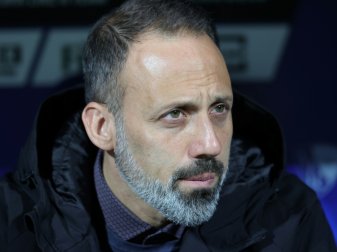 Das Team von Pellegrino Matarazzo unterlag in Kiel Das Team von Pellegrino Matarazzo unterlag in Kiel