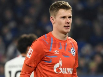 Nübel steht wieder im Tor der Königsblauen Nübel steht wieder im Tor der Königsblauen