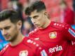 Alario (l.) muss den angeschlagenen Havertz ersetzen