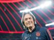 Vereinsarzt Hans-Wilhelm Müller-Wohlfahrt hört beim FC Bayern auf. Foto: Matthias Balk/dpa