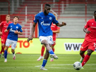 Am Knie operiert: Salif Sane (m.) Am Knie operiert: Salif Sane (m.)