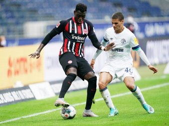 Schalke verliert bei Eintracht Frankfurt Schalke verliert bei Eintracht Frankfurt