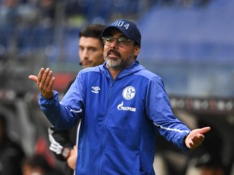 Schalkes Cheftrainer David Wagner will den Problemen auf den Grund gehen. Foto: Arne Dedert/dpa Schalkes Cheftrainer David Wagner will den Problemen auf den Grund gehen. Foto: Arne Dedert/dpa