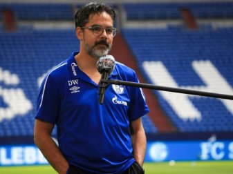 David Wagner und Schalke 04 landen auf Rang 12 David Wagner und Schalke 04 landen auf Rang 12