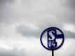 Wie es auf Schalke weitergeht weiß vorerst nur der Himmel: Das Logo des FC Schalke 04 auf dem Dach der Geschäftsstelle. Foto: Fabian Strauch/dpa