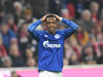 Tauschte das Schalke- kurz in das BVB-Trikot: Rabbi Matondo. Foto: Tobias Hase/dpa Tauschte das Schalke- kurz in das BVB-Trikot: Rabbi Matondo. Foto: Tobias Hase/dpa