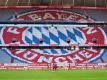 Der FC Bayern hat Nicolas Kühn fest verpflichtet