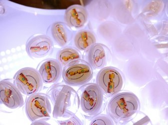 Die Auslosung findet am Sonntag statt