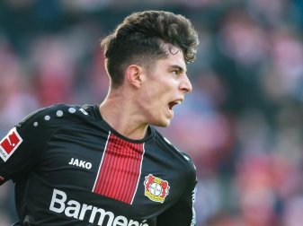 Soll beim Trainingsauftakt von Bayer Leverkusen dabei sein. Foto: Andreas Gora/dpa Soll beim Trainingsauftakt von Bayer Leverkusen dabei sein. Foto: Andreas Gora/dpa