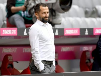 Denkt über weitere Transfers nach: Hasan Salihamidzic Denkt über weitere Transfers nach: Hasan Salihamidzic