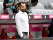 Denkt über weitere Transfers nach: Hasan Salihamidzic