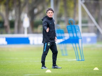 Bruno Labbadia: "Gucken nach jungen Spielern" Bruno Labbadia: "Gucken nach jungen Spielern"