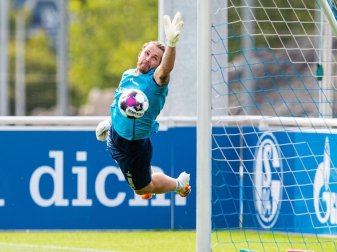 Will nach seiner Rückkehr zurück ins Schalke-Tor: Ralf Fährmann. Foto: Guido Kirchner/dpa