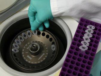 Auch die Verantwortlichen der UEFA werden getestet Auch die Verantwortlichen der UEFA werden getestet