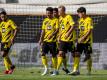 Jung und gut: Die BVB-Youngster Jadon Sancho, Jude Bellingham, Erling Braut Haaland und Giovanni Reyna. Foto: David Inderlied/dpa