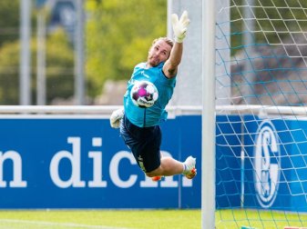 Will zurück ins Schalker Tor: Rückkehrer Ralf Fährmann. Foto: Guido Kirchner/dpa Will zurück ins Schalker Tor: Rückkehrer Ralf Fährmann. Foto: Guido Kirchner/dpa
