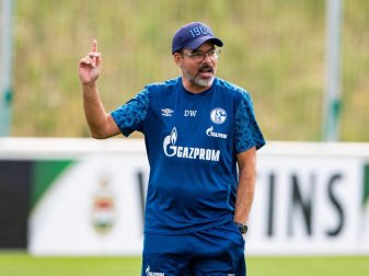 Reist mit reichlich Personal ins Trainingslager: Schalke-Coach David Wagner. Foto: Guido Kirchner/dpa