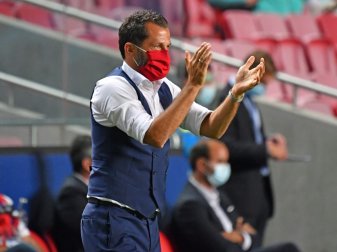 Champions League: Salihamidzic freut sich aufs Endspiel