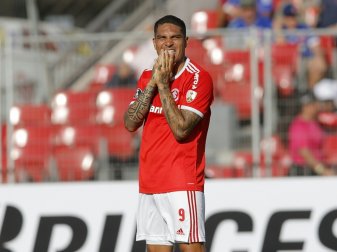 Paolo Guerrero zog sich eine Knieverletzung zu Paolo Guerrero zog sich eine Knieverletzung zu