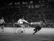 Seit 1963 besteht die Fußball-Bundesliga 