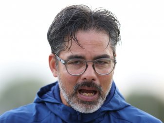 Gibt sich kämpferisch: Schalkes David Wagner Gibt sich kämpferisch: Schalkes David Wagner