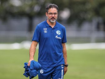 Musste nach der kurzfristigen Pokalabsage improvisieren: Schalke-Coach David Wagner. Foto: Tim Rehbein/dpa