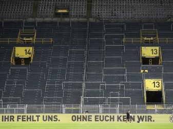 Das Leiden hat für viele Fußballfans nun ein Ende Das Leiden hat für viele Fußballfans nun ein Ende