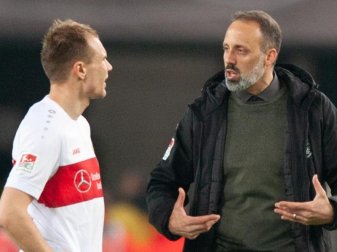 Trainer Pellegrino Matarazzo lässt Holger Badstuber (l) beim VfB Stuttgart noch eine Hintertür offen. Foto: Gregor Bauernfeind/dpa Trainer Pellegrino Matarazzo lässt Holger Badstuber (l) beim VfB Stuttgart noch eine Hintertür offen. Foto: Gregor Bauernfeind/dpa
