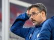 Hatte keine Antworten auf die Angriffswellen des FC Bayern und auch kein passendes Personal: Schalke-Trainer David Wagner. Foto: Matthias Balk/dpa