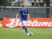 Sebastian Rudy steht derzeit noch beim FC Schalke 04 unter Vertrag. Foto: Tim Rehbein/dpa