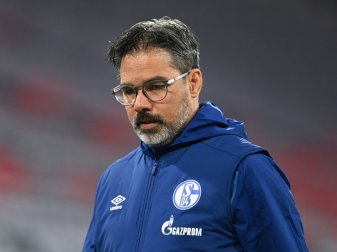 David Wagner ist nicht mehr Trainer von Schalke 04 David Wagner ist nicht mehr Trainer von Schalke 04