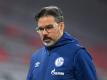 David Wagner ist nicht mehr Trainer von Schalke 04