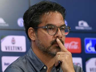 David Wagner und Schalke 04 gehen getrennte Wege David Wagner und Schalke 04 gehen getrennte Wege
