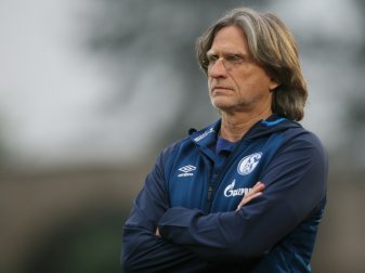 Norbert Elgert ist U19-Trainer der Königsblauen Norbert Elgert ist U19-Trainer der Königsblauen