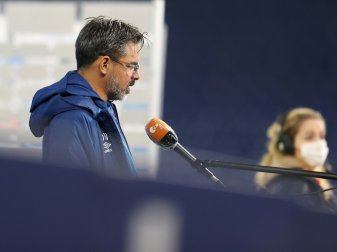 BDFL kritisiert frühe Trainer-Entlassungen BDFL kritisiert frühe Trainer-Entlassungen