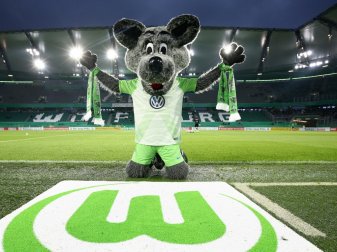 Die "Wölfe" erreichten die höchste Punktzahl aller Klubs Die "Wölfe" erreichten die höchste Punktzahl aller Klubs