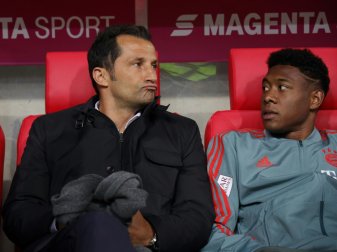Alaba-Poker: Salihamidzic will keinen Druck aufbauen Alaba-Poker: Salihamidzic will keinen Druck aufbauen