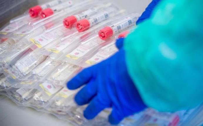 In der Fußball-Bundesliga werden die Spieler regelmäßig auf das Coronavirus getestet. Foto: Jens Büttner/dpa-Zentralbild/dpa