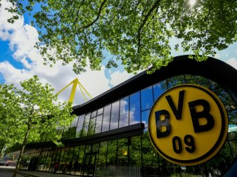 Der Umsatz sank gegenüber dem Vorjahr um fast 50 Prozent Der Umsatz sank gegenüber dem Vorjahr um fast 50 Prozent